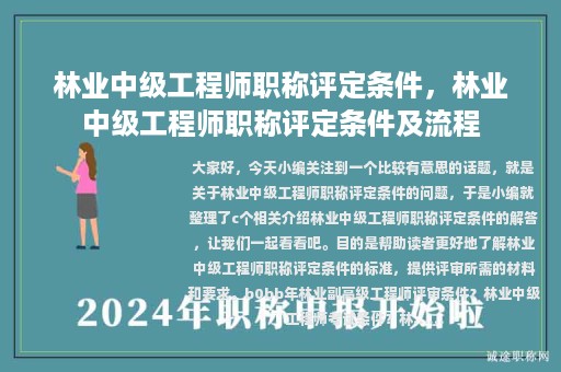 林業(yè)中級工程師職稱評定條件，林業(yè)中級工程師職稱評定條件及流程