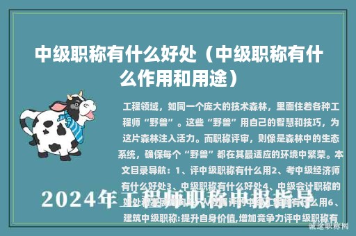 中級職稱有什么好處（中級職稱有什么作用和用途）