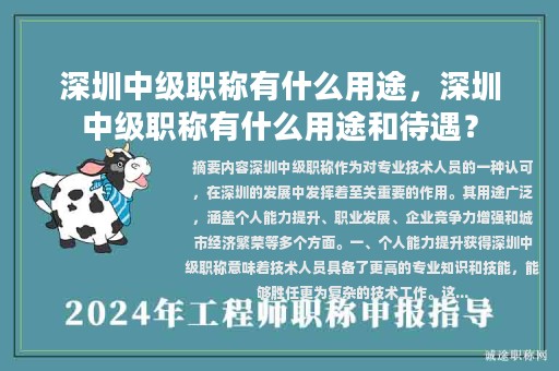 深圳中級(jí)職稱有什么用途，深圳中級(jí)職稱有什么用途和待遇？