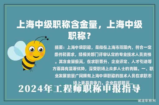 上海中級職稱含金量，上海中級職稱？