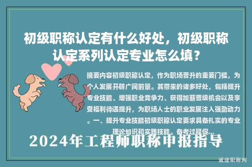 初級職稱認(rèn)定有什么好處，初級職稱認(rèn)定系列認(rèn)定專業(yè)怎么填？