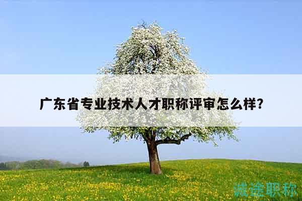 廣東省專業(yè)技術(shù)人才職稱評審怎么樣？