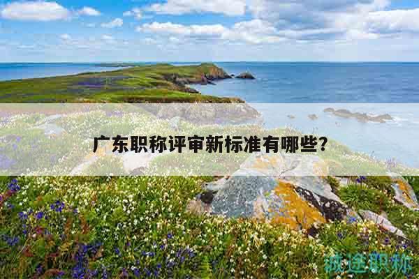 廣東職稱評審新標準有哪些？