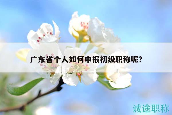 廣東省個人如何申報初級職稱呢？