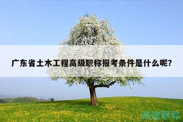 廣東省土木工程高級職稱報(bào)考條件是什么呢？