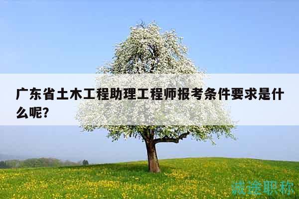 廣東省土木工程助理工程師報考條件要求是什么呢？