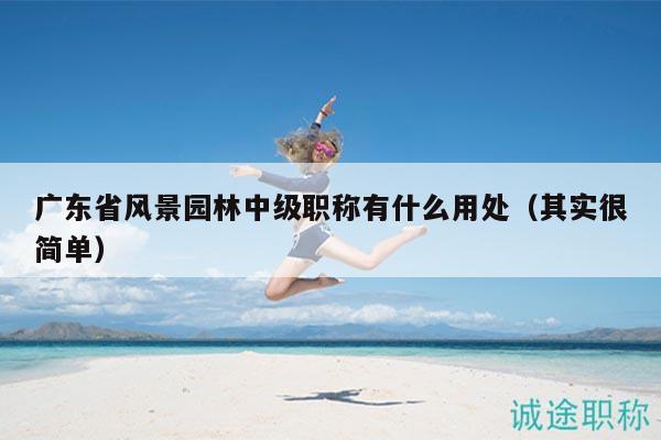 廣東省風景園林中級職稱有什么用處（其實很簡單）