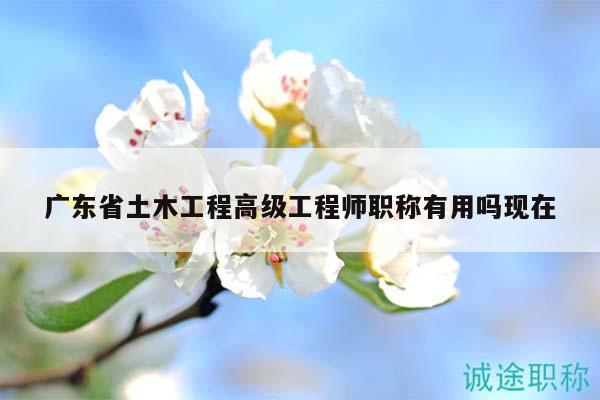 廣東省土木工程高級工程師職稱有用嗎現(xiàn)在