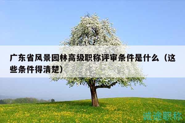 廣東省風景園林高級職稱評審條件是什么（這些條件得清楚）