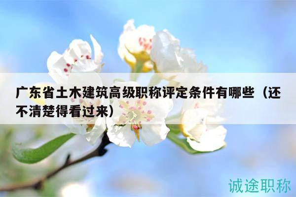 廣東省土木建筑高級(jí)職稱(chēng)評(píng)定條件有哪些（還不清楚得看過(guò)來(lái)）