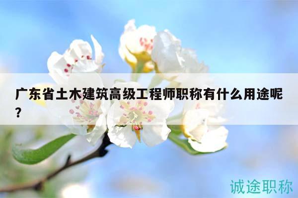 廣東省土木建筑高級(jí)工程師職稱有什么用途呢？