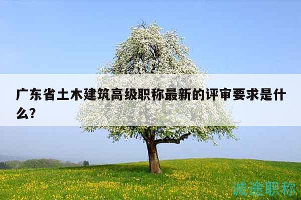 廣東省土木建筑高級(jí)職稱(chēng)最新的評(píng)審要求是什么？