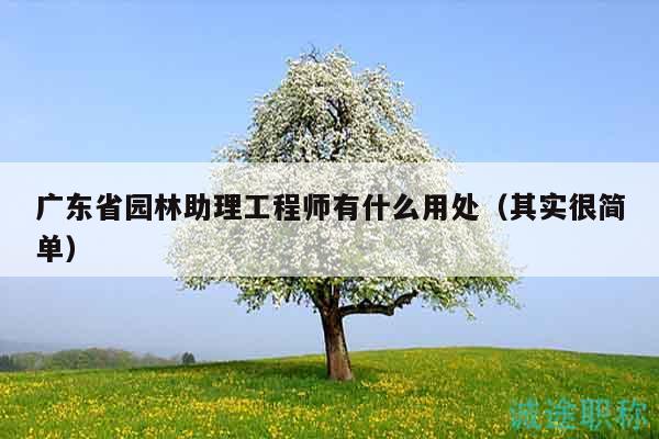 廣東省園林助理工程師有什么用處（其實很簡單）