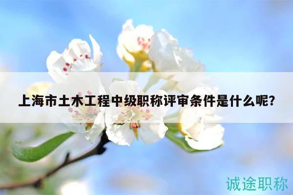 上海市土木工程中級職稱評審條件是什么呢？
