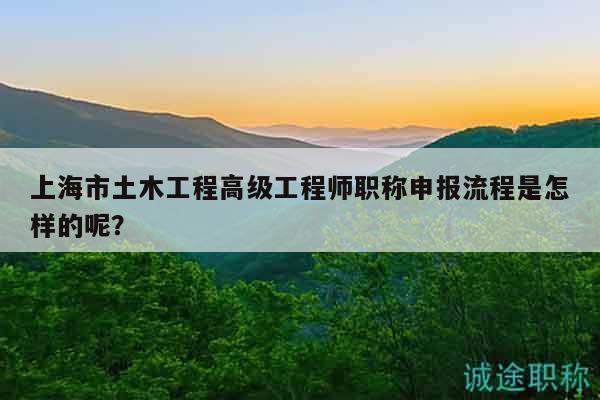 上海市土木工程高級工程師職稱申報流程是怎樣的呢？