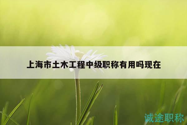 上海市土木工程中級職稱有用嗎現(xiàn)在