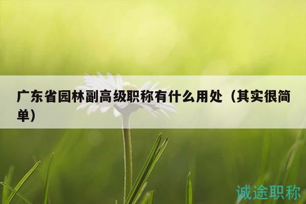 廣東省園林副高級職稱有什么用處（其實很簡單）