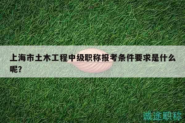 上海市土木工程中級職稱報(bào)考條件要求是什么呢？