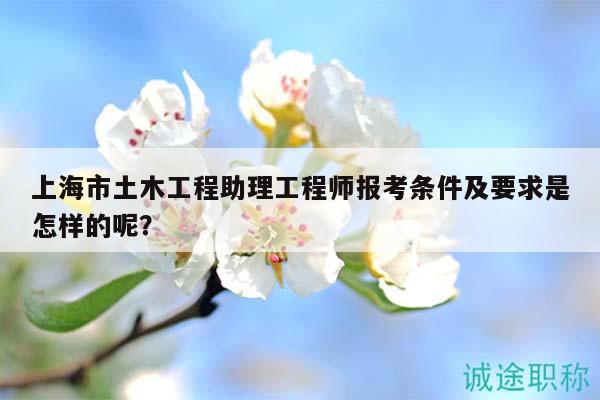 上海市土木工程助理工程師報(bào)考條件及要求是怎樣的呢？