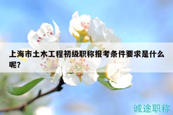 上海市土木工程初級職稱報考條件要求是什么呢？