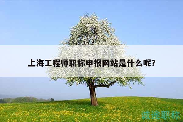 上海工程師職稱申報網(wǎng)站是什么呢？