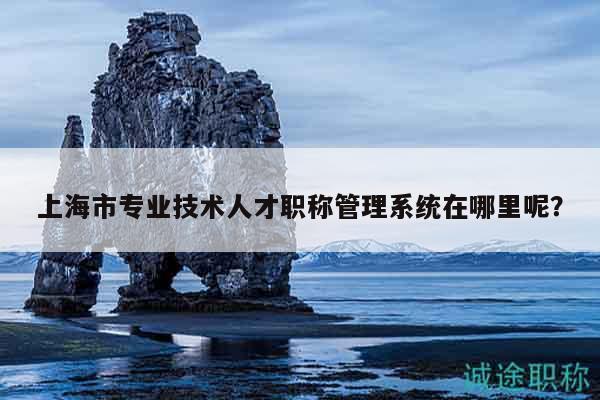 上海市專業(yè)技術(shù)人才職稱管理系統(tǒng)在哪里呢？