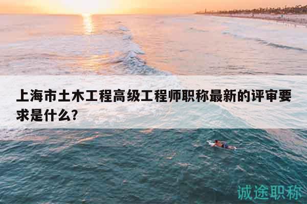 上海市土木工程高級工程師職稱最新的評審要求是什么？