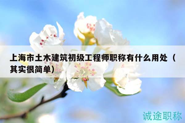 上海市土木建筑初級工程師職稱有什么用處（其實(shí)很簡單）