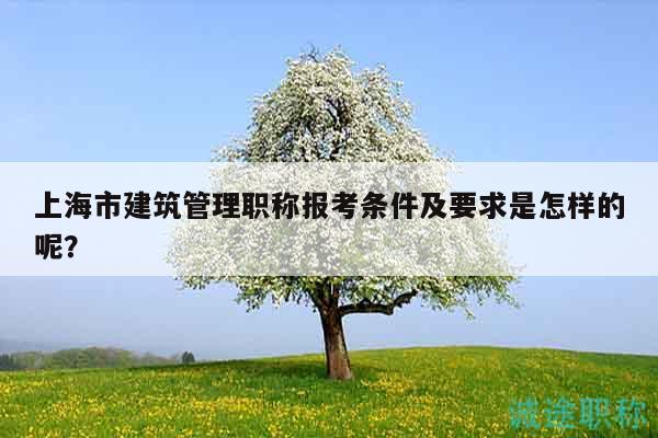 上海市建筑管理職稱報考條件及要求是怎樣的呢？