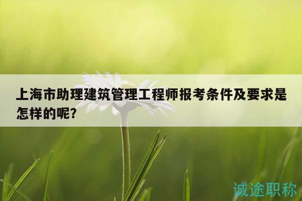 上海市助理建筑管理工程師報考條件及要求是怎樣的呢？