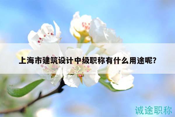 上海市建筑設(shè)計(jì)中級(jí)職稱有什么用途呢？