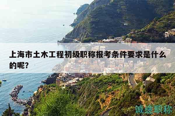 上海市土木工程初級職稱報考條件要求是什么的呢？