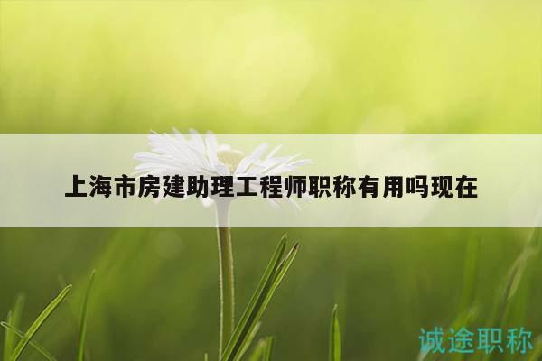 上海市房建助理工程師職稱有用嗎現在