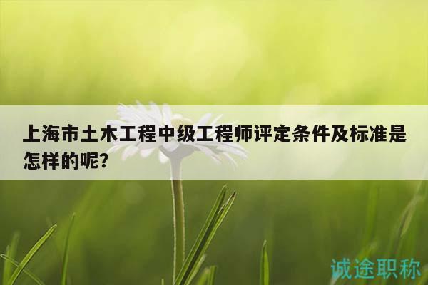 上海市土木工程中級(jí)工程師評(píng)定條件及標(biāo)準(zhǔn)是怎樣的呢？