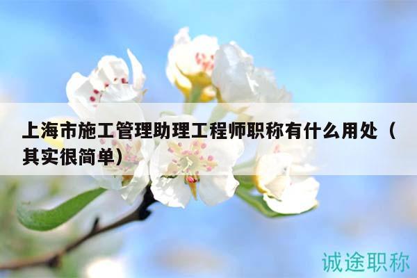 上海市施工管理助理工程師職稱有什么用處（其實(shí)很簡(jiǎn)單）