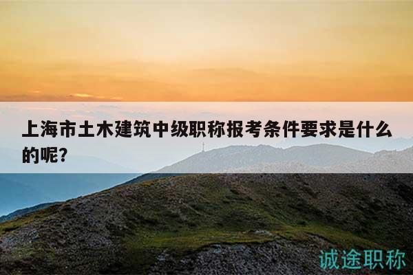 上海市土木建筑中級(jí)職稱(chēng)報(bào)考條件要求是什么的呢？