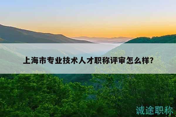 上海市專(zhuān)業(yè)技術(shù)人才職稱(chēng)評(píng)審怎么樣？