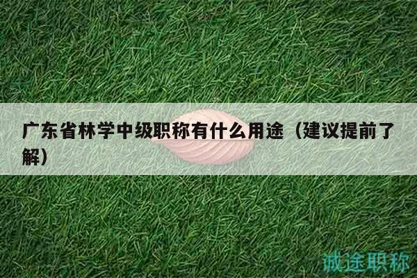 廣東省林學(xué)中級(jí)職稱有什么用途（建議提前了解）