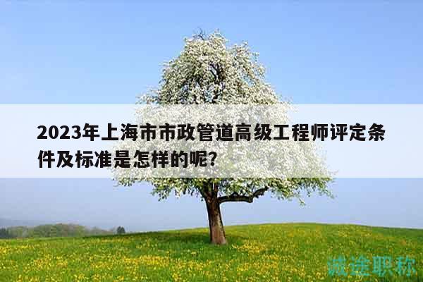 2023年上海市市政管道高級工程師評定條件及標(biāo)準(zhǔn)是怎樣的呢？