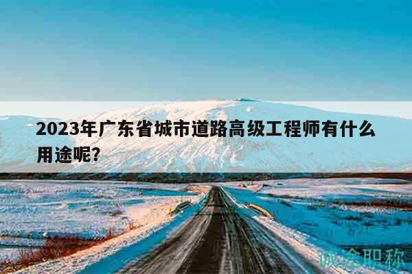 2023年廣東省城市道路高級(jí)工程師有什么用途呢？