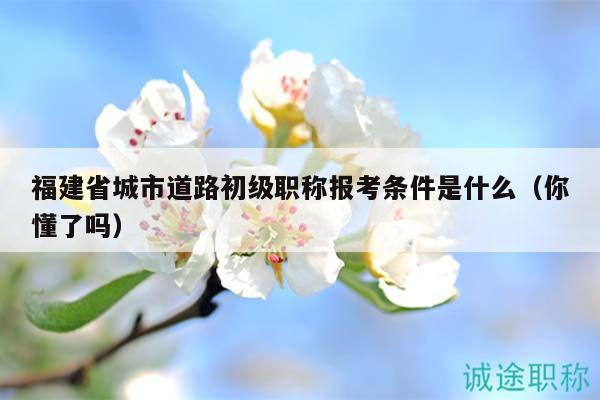 福建省城市道路初級(jí)職稱報(bào)考條件是什么（你懂了嗎）
