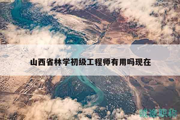 山西省林學(xué)初級工程師有用嗎現(xiàn)在