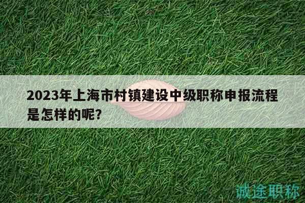 2023年上海市村鎮(zhèn)建設(shè)中級(jí)職稱申報(bào)流程是怎樣的呢？