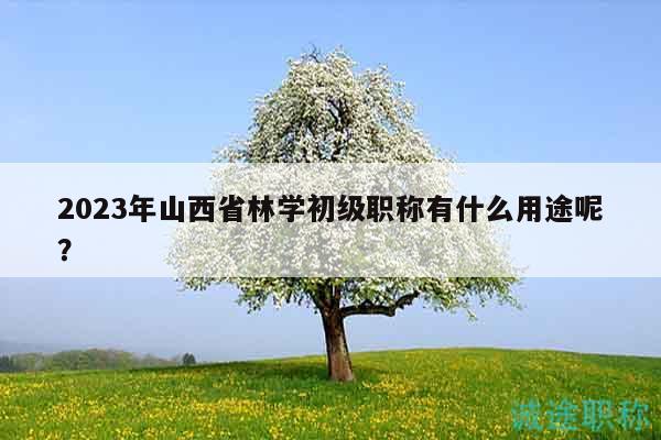 2023年山西省林學(xué)初級(jí)職稱有什么用途呢？