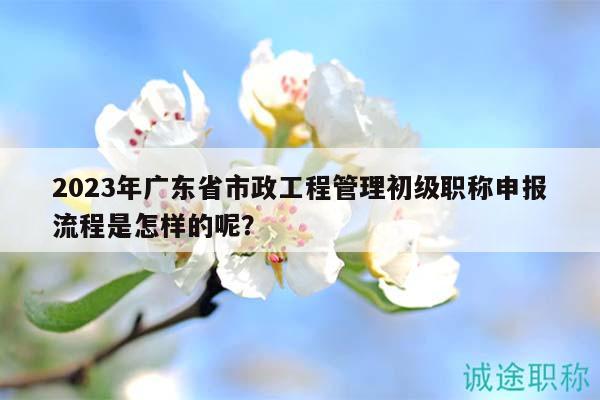 2023年廣東省市政工程管理初級職稱申報流程是怎樣的呢？
