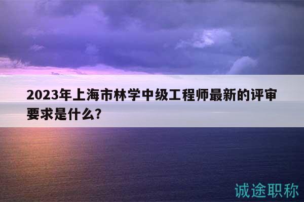 2023年上海市林學(xué)中級工程師最新的評審要求是什么？