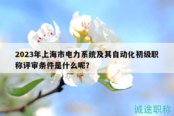 2023年上海市電力系統(tǒng)及其自動化初級職稱評審條件是什么呢？