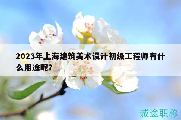 2023年上海建筑美術設計初級工程師有什么用途呢？
