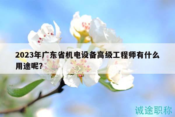 2023年廣東省機電設備高級工程師有什么用途呢？