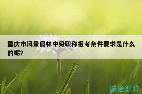 重慶市風(fēng)景園林中級(jí)職稱(chēng)報(bào)考條件要求是什么的呢？